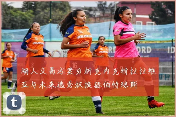 湖人交易方案分析克内克特拉拉维亚与未来选秀权换赫伯特琼斯